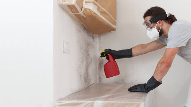 Professional Black Mold Removal technician working in Belford, NJ