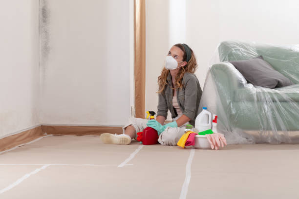 Reliable Black Mold Removal contractor in Belford, NJ by WQB Mold Removal